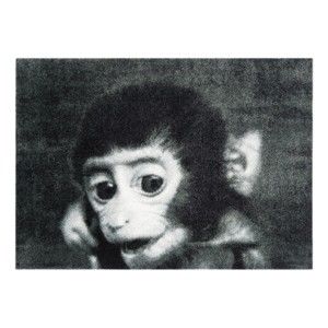 Szara wycieraczka Hans Home StateMat Monkey, 50x75 cm