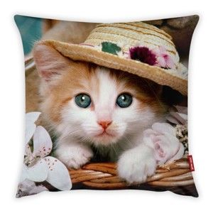 Poszewka na poduszkę Vitaus Cute Kitten, 43x43 cm