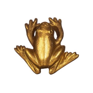 Cynkowe uchwyty do szuflad w kolorze złota Sass & Belle Frog