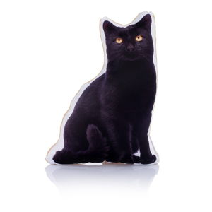 Poduszka z nadrukiem kota Adorable Cushions Midi Black Cat