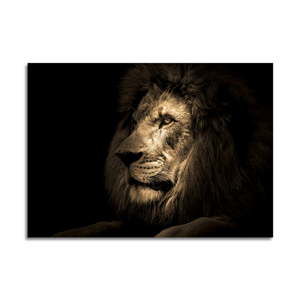 Szklany obraz 100x70 cm Lion – Styler