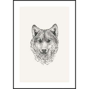 Plakat Imagioo Wolf Ilu, 40x30 cm
