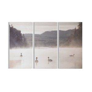Komplet 3 obrazów Graham & Brown Swan Lakeside, 30x60 cm