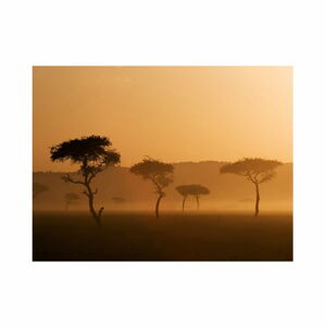 Tapeta wielkoformatowa Artgeist Massai Mara, 200x154 cm