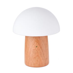 Naturalna lampa stołowa ze ściemniaczem z szklanym kloszem (wysokość 32 cm) Alice – Gingko