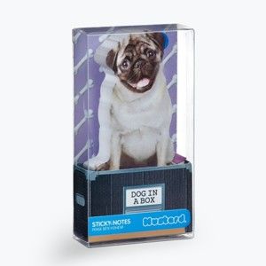 Karteczki samoprzylepne Just Mustard Dog in Box