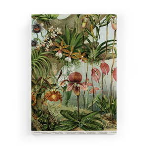 Obraz na płótnie Surdic Jungle Flowers, 50x70 cm