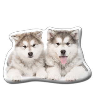 Poduszeczka Adorable Cushions Alaskan malamute