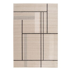 Beżowy dywan 160x230 cm Domus – Universal