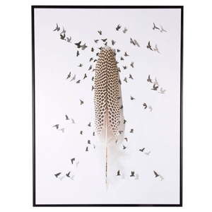 Obraz sømcasa Birds, 60x80 cm