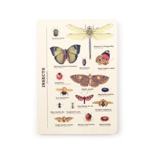 Notes Gift Republic Insects, rozm. A5