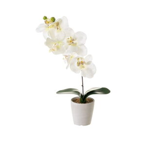 Sztuczny kwiat Orchid – Casa Selección