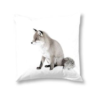 Poszewka na poduszkę Fox White, 50x50 cm
