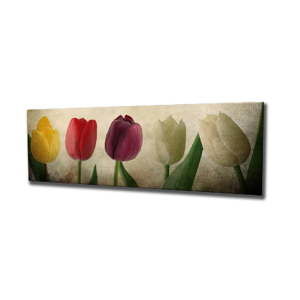 Obraz na płótnie Tulip, 80x30 cm