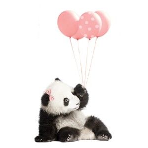 Naklejka ścienna Dekornik Pink Panda, 70x115 cm
