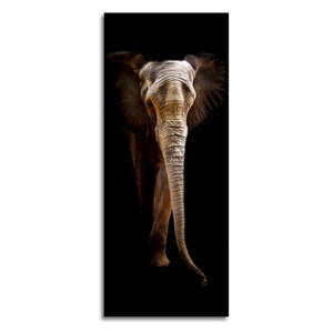 Obraz Styler Elephant, 125x50 cm