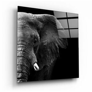 Szklany obraz Insigne Elephant, 100x100 cm