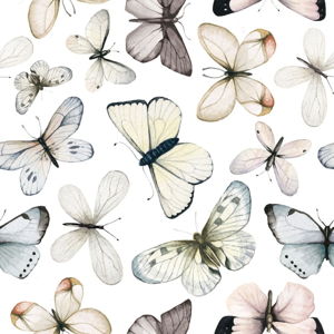 Zestaw naklejek ściennych z motywem motyli Dekornik Butterflies