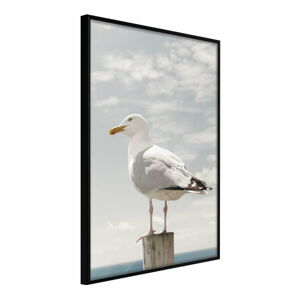 Plakat w ramie Artgeist Curious Seagull, 30x45 cm