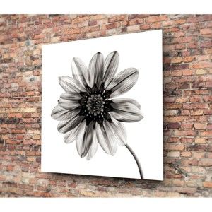 Czarno-biały szklany obraz Insigne Flower, 30x30 cm