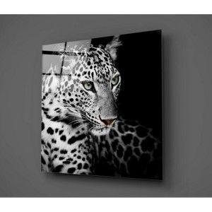 Obraz szklany Insigne Wild Animal, 30x30 cm