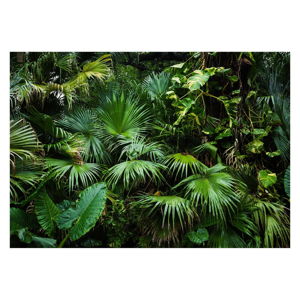 Wielkoformatowa tapeta Bimago Sunny Jungle, 400x280 cm