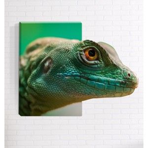 Obraz ścienny 3D Mosticx Kameleon 40x60 cm