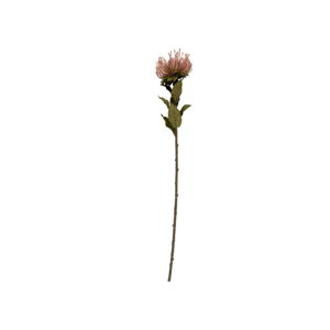 Sztuczny kwiat (wysokość 73 cm) Protea – PT LIVING