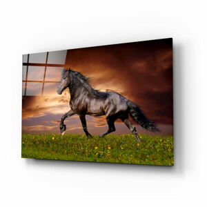 Szklany obraz Insigne Nobility of the Horse, 110x70 cm