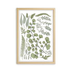 Obraz w ramie z drewna sosnowego Surdic Leafes Collection, 50x70 cm