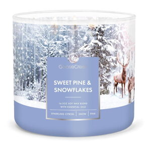 Świeca zapachowa Goose Creek Sweet Pine & Snowflakes, czas palenia 35 h