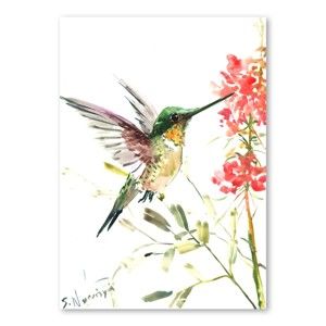 Autorski plakat Hummingbird Suren Nersisyan, 30x21 cm