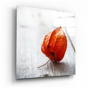 Szklany obraz Insigne Dry Leaf, 100x100 cm