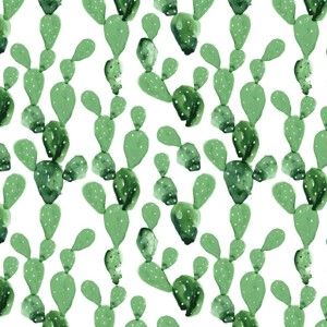 Tapeta Dekornik Cactus, 50x280 cm