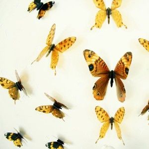 Zestaw 18 naklejek adhezyjnych 3D Fanastick Butterflies Yellow