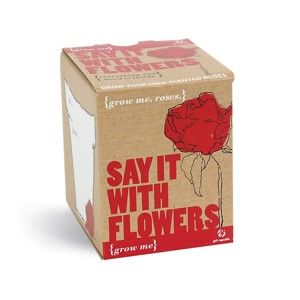 Zestaw do uprawy roślin z ziarnami róży Gift Republic Say It With Flowers