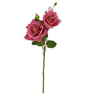 Roślina dekoracyjna Moycor Rosie, 63 cm