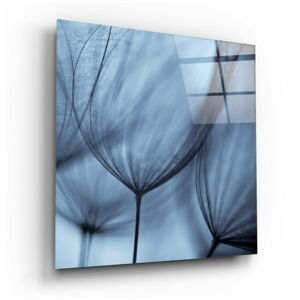 Szklany obraz Insigne Dandelion Serenity, 40x40 cm