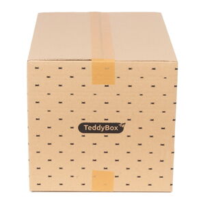 Zestaw 2 beżowych pudełek do przechowywania Compactor Teddy, 42 x 30 cm