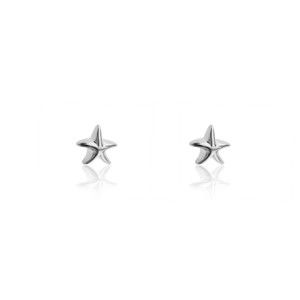 Damskie kolczyki ze stali nierdzewnej w srebrnym kolorze w kształcie gwiazdy Emily Westwood