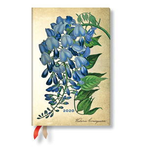 Wielokolorowy kalendarz na rok 2020 w twardej oprawie Paperblanks Blooming Wisteria, 160 str.