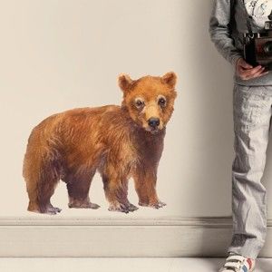 Naklejka wielokrotnego użytku Bear, 50x46 cm