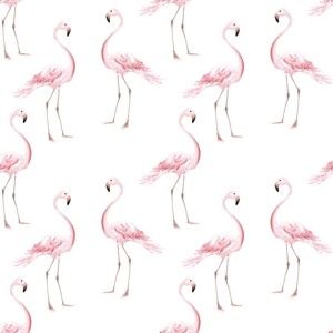 Tapeta Dekornik Flamingos, 50x280 cm
