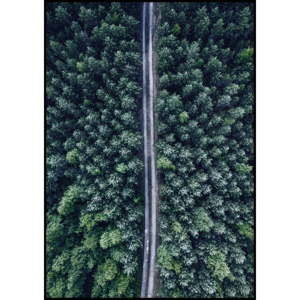 Plakat Imagioo Aerial Forest, 40x30 cm