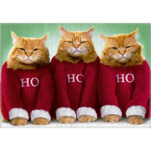 Dywan Vitaus Christmas Period Tree Funny Cats, 50x80 cm