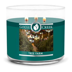 Świeca zapachowa Goose Creek Tree Farm, czas palenia 35 h