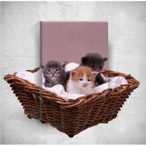 Obraz 3D Mosticx Kittens, 40x60 cm