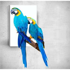 Obraz 3D Mosticx Two Parrots, 40x60 cm