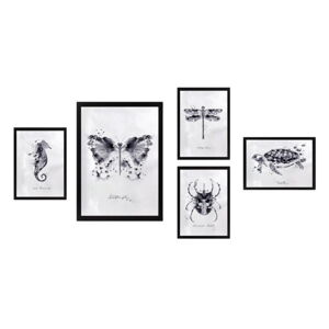 Obrazy zestaw 5 szt. 34x44 cm Butterfly – Wallity