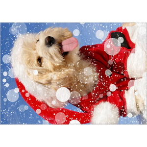 Dywan Vitaus Christmas Period Cute Dog, 50x80 cm